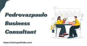 Pedrovazpaulo Business Consultant