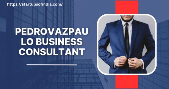 Pedrovazpaulo Business Consultant